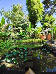 Rumah kayu segitiga di taman hijau, cocok untuk sewa 3 bulan, dikelilingi tanaman dan kolam kecil.