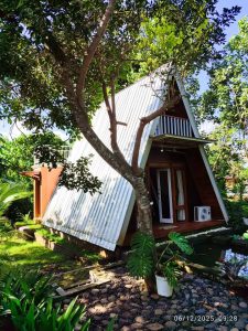 Rumah kayu segitiga kecil dengan atap logam, cocok untuk sewa jangka pendek di lingkungan alami.