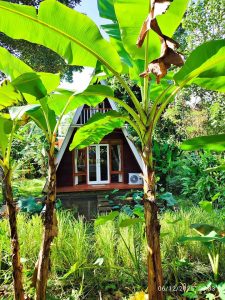 Rumah kayu segitiga dengan balkon di tengah taman hijau subur.