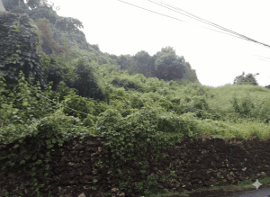 Lahan premium 22 are di Jimbaran siap bangun, lokasi strategis dekat pantai dan fasilitas umum.