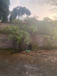 Lahan gudang strategis di Kebon Iwa, Ubung Kaja, Denpasar Barat, cocok untuk investasi dan pengemban.