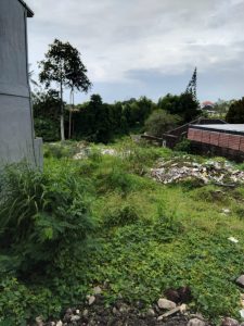 Tanah hijau di Canggu dekat area ITR seluas 10 are, cocok untuk investasi properti.