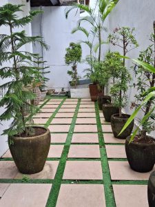 Taman hijau di villa mewah 2 lantai di Kerobokan, Bali.